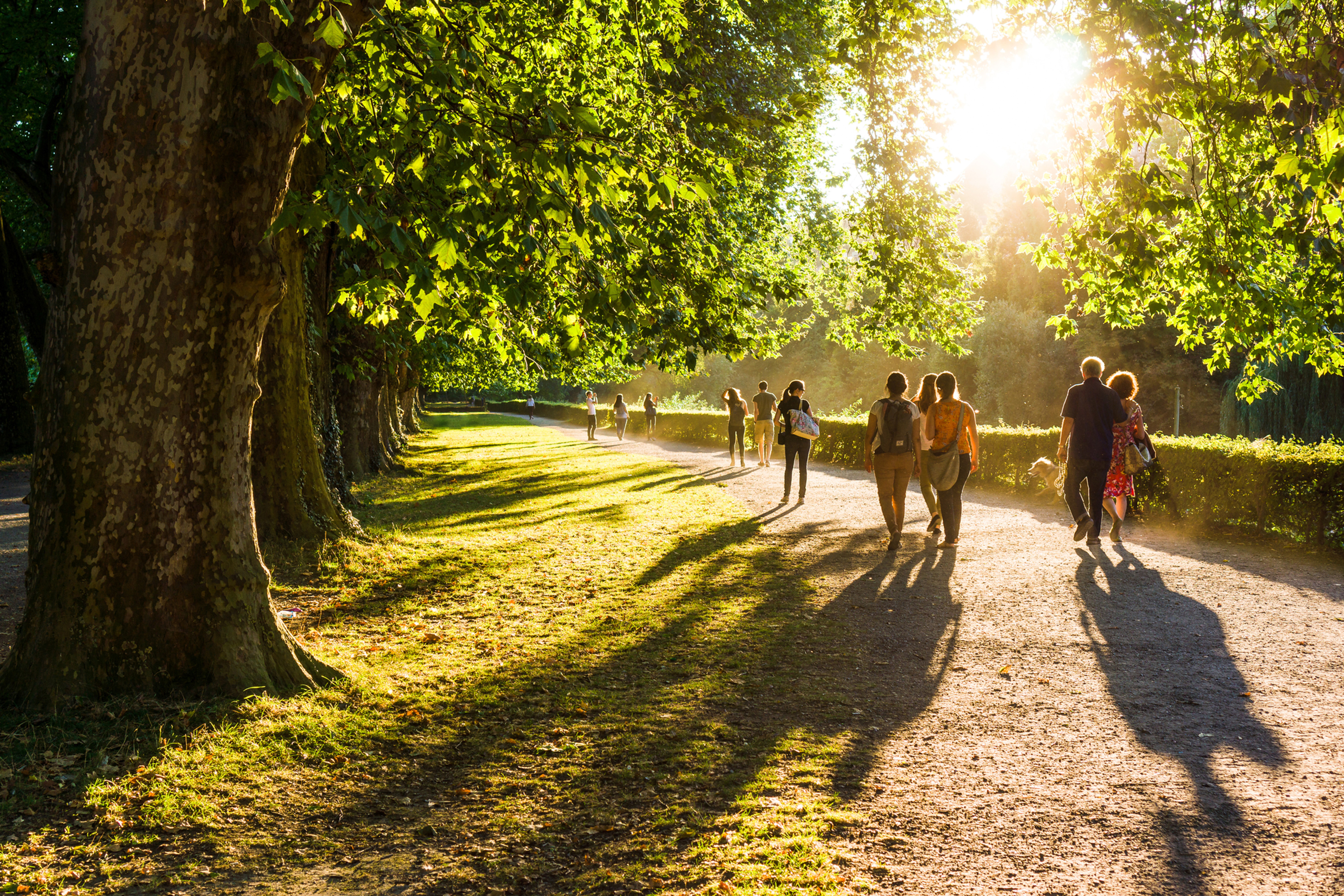 People walking along a sunlit tree-lined gravel path in a park during golden hour